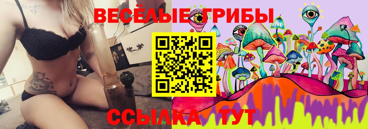 Галлюциногенные грибы Psilocybe  Вход с VPN  Чебаркуль  Псилоцибиновые грибы ЛСД 