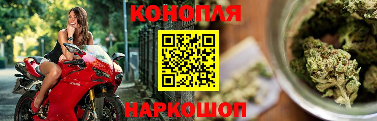 Конопля гибрид Чебаркуль